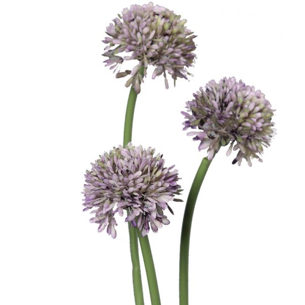 Lauch Blüten Allium 34 - Kunstpflanzen Bund Kunstblumen - cm 3er kaufen lila