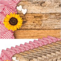 Tischsets Platzsets MOTIV Sonnenblume auf Holz & Karo rot weiß 12 Stk Abwaschbar