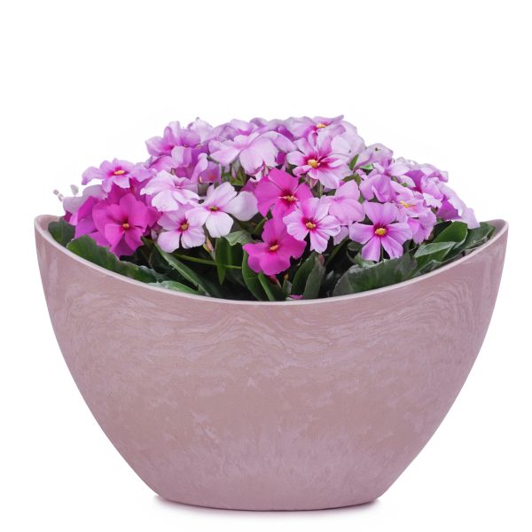 Pflanzschale Blumenschale oval Jardiniere rosa 24 cm