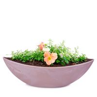 Große Pflanzschale Blumenschale oval Jardiniere alt-rosa 55 cm