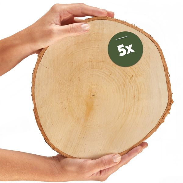 Große Baumscheiben 5 Stk. Holzscheiben zum Basteln Dekorieren ca. 25 cm