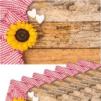 Tischsets Platzsets MOTIV Sonnenblume auf Holz & Karo rot weiß 8 Stk Abwaschbar