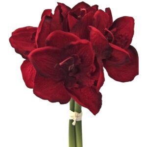 matches21 - Webshop Amaryllis Kunstblumen 3 Stiele a 5 Blueten 12 cm Kunstpflanzen 1 Bund 2 Farben 121887 2 1 12