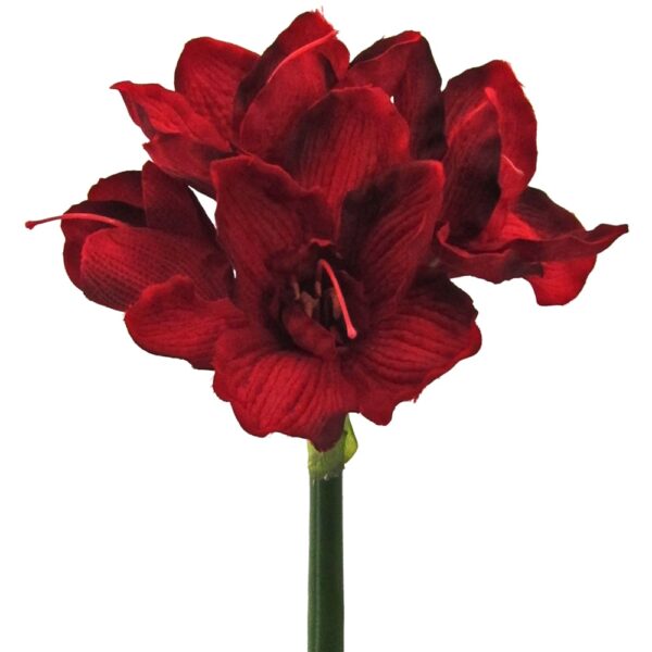 matches21 - Webshop Amaryllis Kunstblumen mit 3 Blueten und 1 Knospe 18 cm Kunstpflanzen 1 Stk 2 Farben 121888 2 1 9