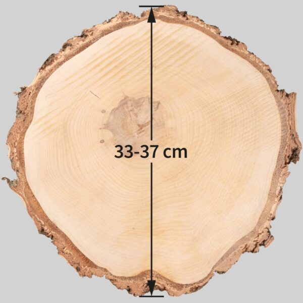 matches21 - Webshop Baumscheiben Holzscheiben zum Basteln Dekorieren Birkenscheiben 113834 75 1 282
