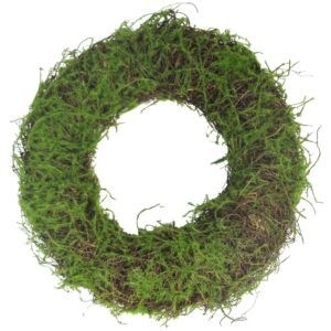 matches21 - Webshop Dekokraenze mit Moos Clematis Rebenholz Dekokraenze Holz 1 Stk 2 Groessen 120516 2 1 8