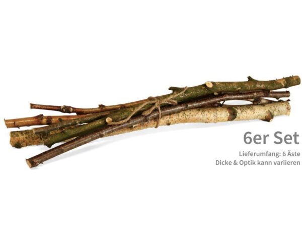 matches21 - Webshop Dekozweige Birke Zweige aeste Naturmaterial Laenge 50 cm 1 2 5 cm 6er Set 116101 8 1 2