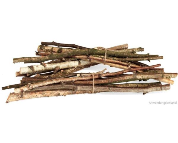 matches21 - Webshop Dekozweige Birke Zweige aeste Naturmaterial Laenge 50 cm 1 2 5 cm 6er Set 116101 9 1 3