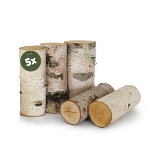 matches21 - Webshop Echtholz Birkenstaemmchen Holzstamm Baumstamm Holz gerader Schnitt in 4 Groessen 114292 16 1 241