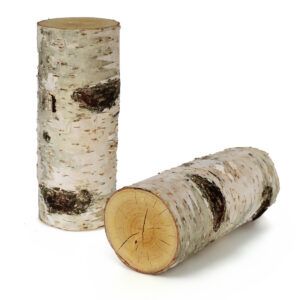 matches21 - Webshop Echtholz Birkenstaemmchen Holzstamm Baumstamm Holz gerader Schnitt in 4 Groessen 114292 31 1 256