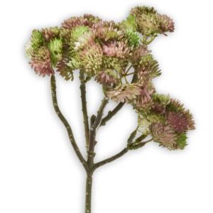 matches21 - Webshop Fetthenne Kunstblume Zweige Kunstpflanzen Dekopflanze 1 Stk 30 cm 5 Farben 120538 4 1 23