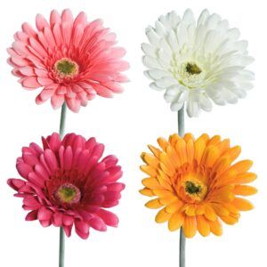 matches21 - Webshop Gerbera Kunstblumen Kunstpflanzen kuenstliche Blueten 1 Stk 56 cm 4 Farben 120531 1 45