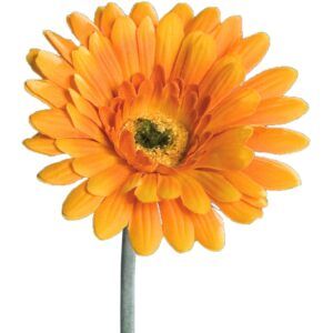 matches21 - Webshop Gerbera Kunstblumen Kunstpflanzen kuenstliche Blueten 1 Stk 56 cm 4 Farben 120531 3 1 19