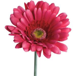 matches21 - Webshop Gerbera Kunstblumen Kunstpflanzen kuenstliche Blueten 1 Stk 56 cm 4 Farben 120531 4 1 20