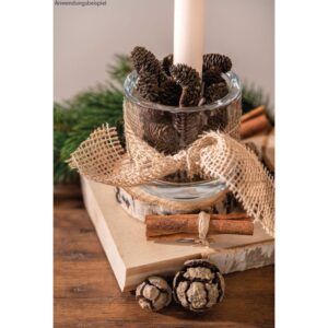 matches21 - Webshop Glastoepfe Pflanzgefaesse Glasvasen rund Vasen dickes Glas klar 1 Stk in 2 Groessen 125026 4 1 11