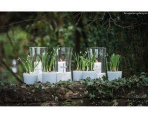 matches21 - Webshop Glastoepfe Toepfe rund Pflanzgefaesse Teelichtglaeser Glas weiss 1 Stk in 2 Groessen 123733 3 1 16