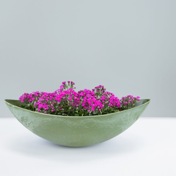 matches21 - Webshop Grosse Pflanzschale Blumenschale oval Jardiniere gruen 2 Groessen 127561 8 1 23