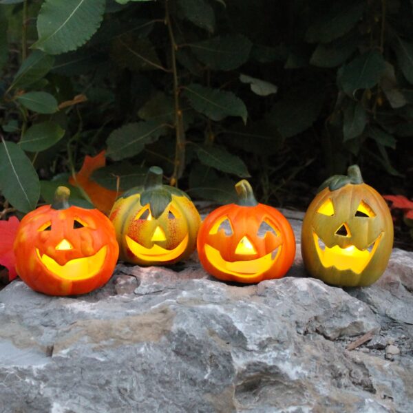 matches21 - Webshop Halloween Kuerbisse im Set mit suessen Gesichtern und Farben 110903 3 1 4