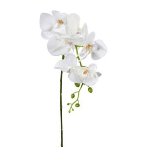 matches21 - Webshop Kuenstliche Orchidee aus Kunststoff in weiss mit 7 Blueten 87 cm 126517 1 15