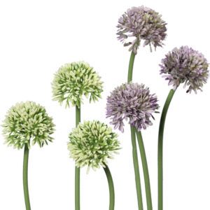 matches21 - Webshop Lauch Blueten Allium Kunstblumen Kunstpflanzen 3er Bund 34 cm 2 Farben 120533 1 23