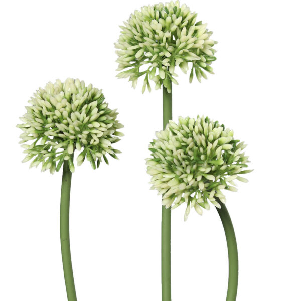 matches21 - Webshop Lauch Blueten Allium Kunstblumen Kunstpflanzen 3er Bund 34 cm 2 Farben 120533 1 1 8