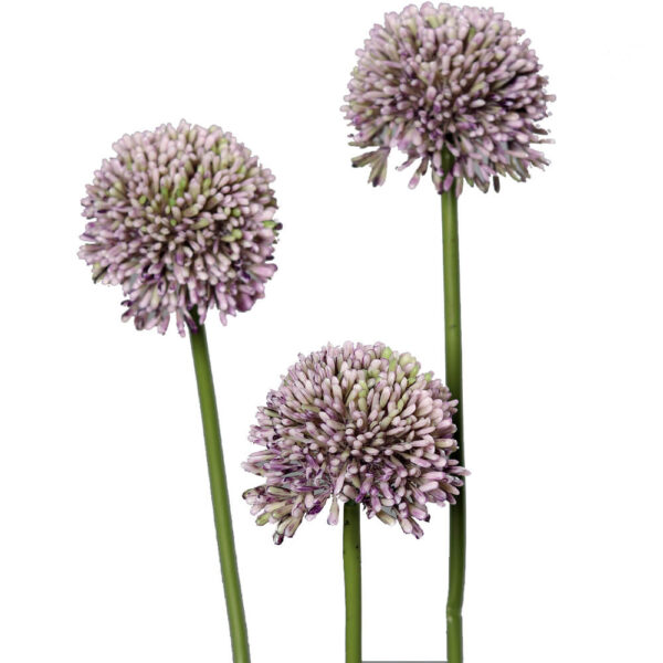 matches21 - Webshop Lauch Blueten Allium Kunstblumen Kunstpflanzen 3er Bund 46 cm 2 Farben 120532 2 1 9