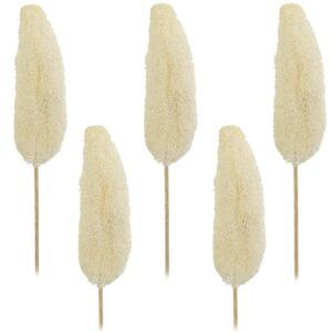 matches21 - Webshop Luffa am Stiel Trockenblumen Naturdeko basteln gebleicht 5er Set ca 10 15 cm 125248 1 16