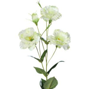 matches21 - Webshop Lysianthus Eustoma kuenstliche Blueten Knospe Kunstblumen 1 Stk 3 Farben 123684 2 1 15