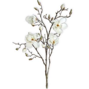 matches21 - Webshop Magnolienzweig mit Blueten und Knospen Kunstblume Dekozweig 110 cm 1 Stk creme 120523 1 37