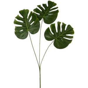 matches21 - Webshop Monstera Splitphiloblatt Blatt Zweig Kunstpflanze Dekoblatt 1 Stk 71 cm gruen 120547 1 6