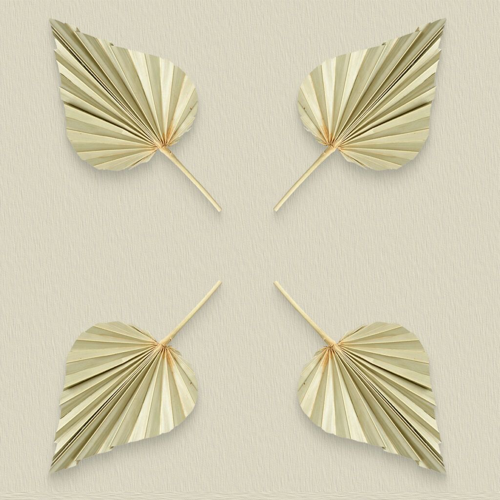 matches21 - Webshop Palmen Blatt Boho Deko getrocknet 10er Set Palmblatt 11 13 cm 126585 7 1 7