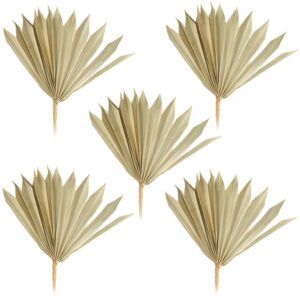 matches21 - Webshop Palmsonnen Deko Naturdeko Bastelmaterial Gestecke natur 5er Set 11 22 cm 125269 1 15