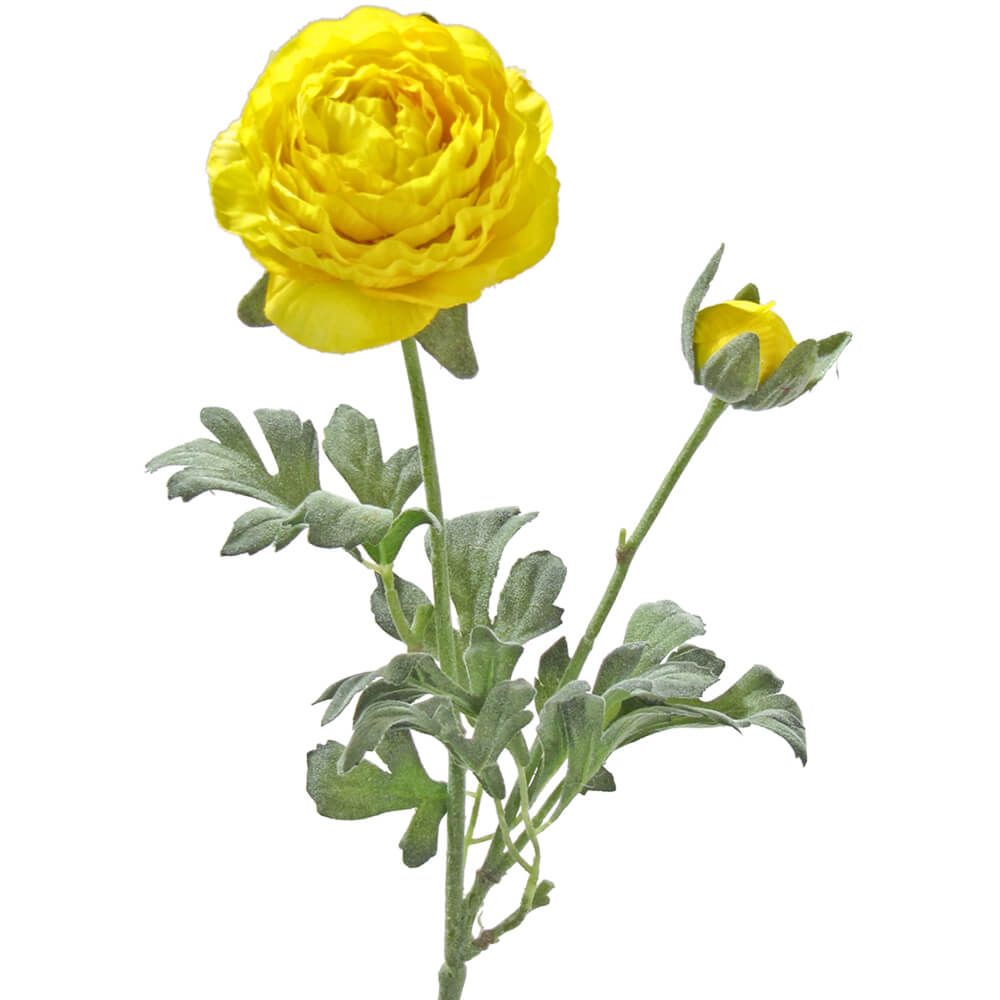 matches21 - Webshop Ranunkeln Kunstblumen Blueten und Knospen Kunstblumen 1 Stk ca 40 cm 5 Farben 120526 2 1 3