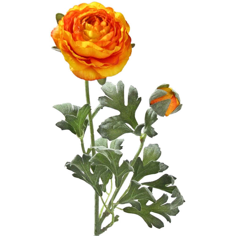 matches21 - Webshop Ranunkeln Kunstblumen Blueten und Knospen Kunstblumen 1 Stk ca 40 cm 5 Farben 120526 3 1 4