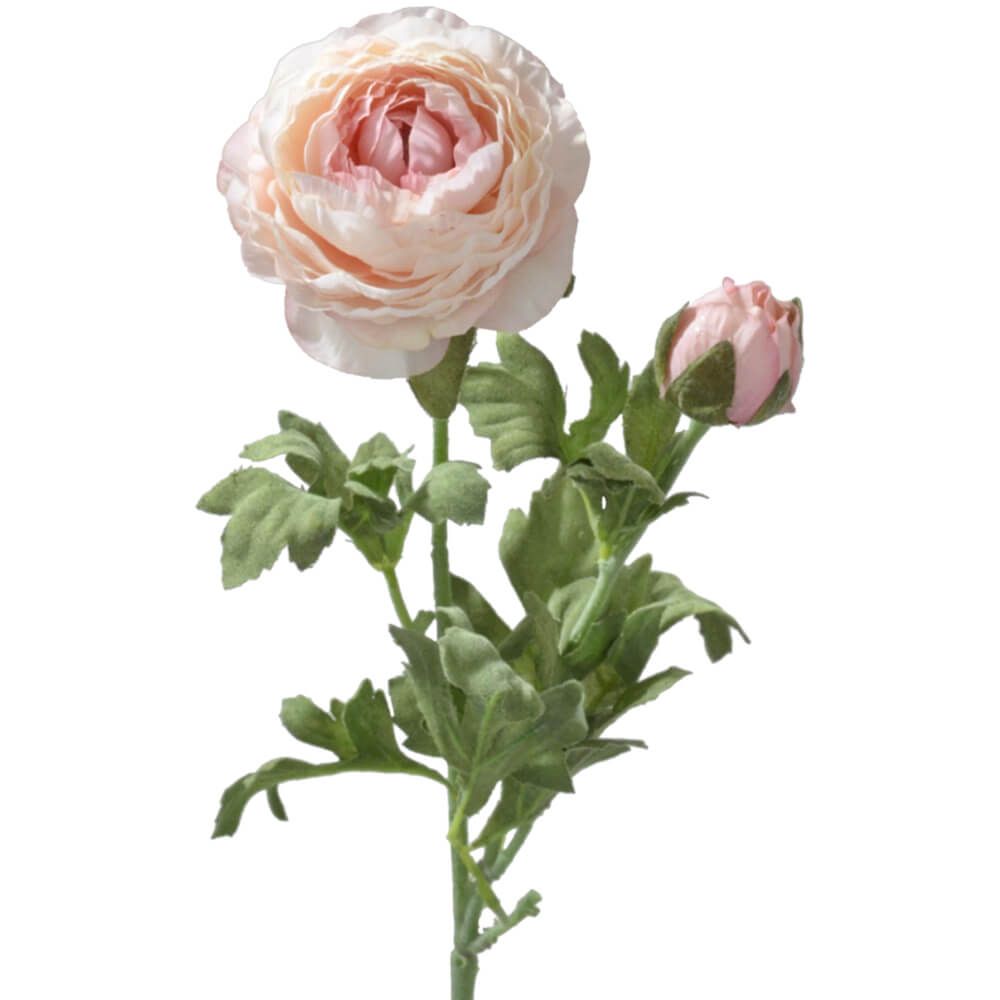 matches21 - Webshop Ranunkeln Kunstblumen Blueten und Knospen Kunstblumen 1 Stk ca 40 cm 5 Farben 120526 5 1 6