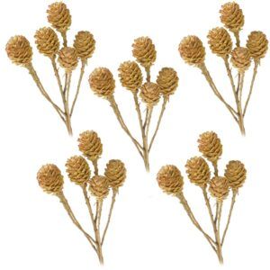 matches21 - Webshop Salignumzweige 6 Koepfe ohne Blaetter Trockenblumen basteln natur hell 5er Set 125246 1 15