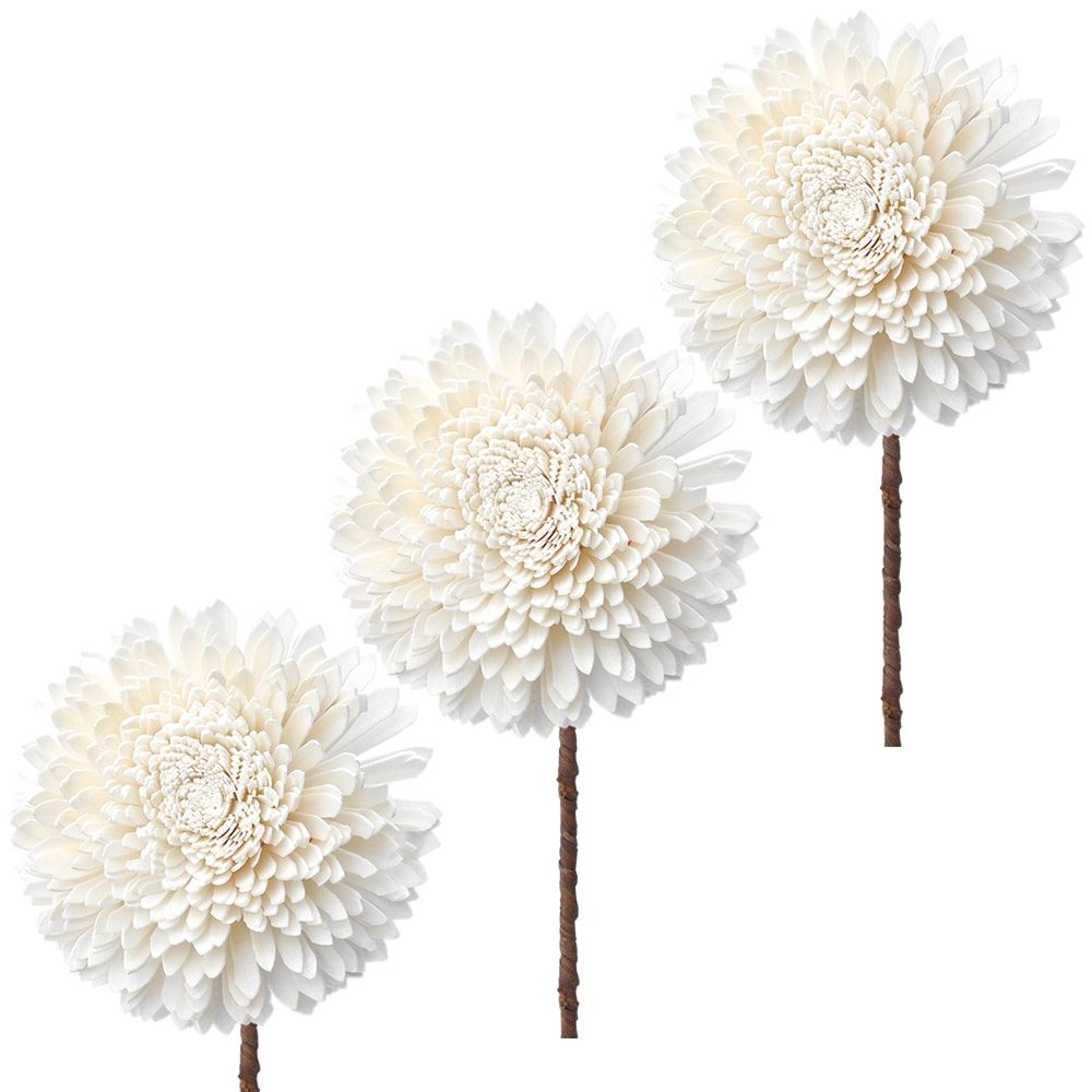 matches21 Solablueten Chrysanthemen Bastelmaterial Gestecke naturweiss 3er Set 12 cm 125273 1 1