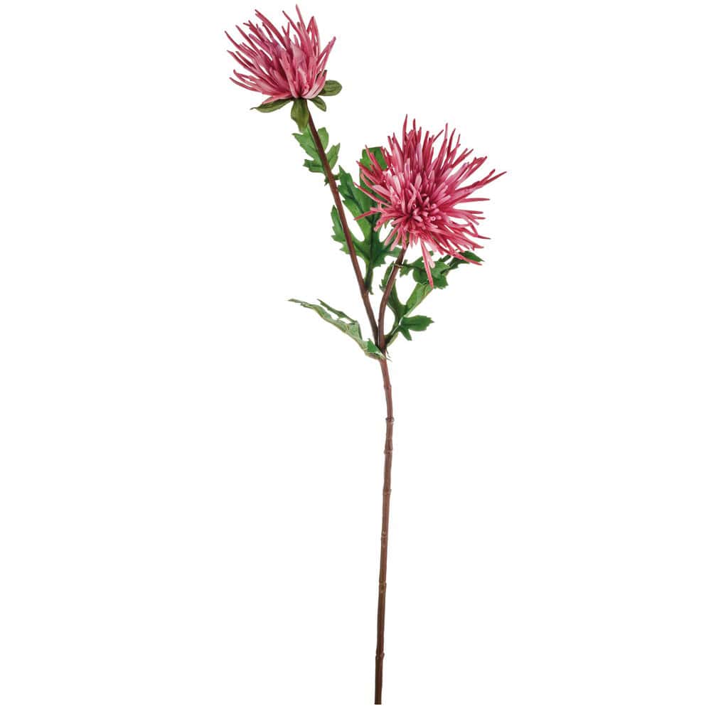 matches21 - Webshop Strahlen Chrysanthemen kuenstlich Deko Blumen Kunstblumen Herbst 1 Stk 3 Farben 119857 5 1 18