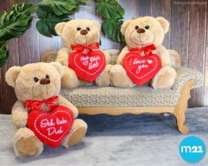 matches21 - Webshop Teddybaer mit Herz DU BIST DAS BESTE braun 25 cm 117751 8 1 14