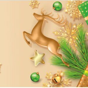 matches21 - Webshop Tischset Platzset MOTIV Weihnachten Hirsch Sterne gold und gruen 1 Stk Abwaschbar 119045 1 1 29