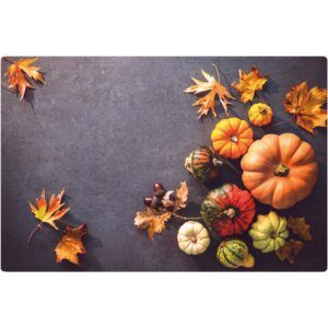 matches21 - Webshop Tischset Platzsets MOTIV abwaschbar Kuerbisse Herbstlaub Herbst Beton bunt 126259 1 1 23