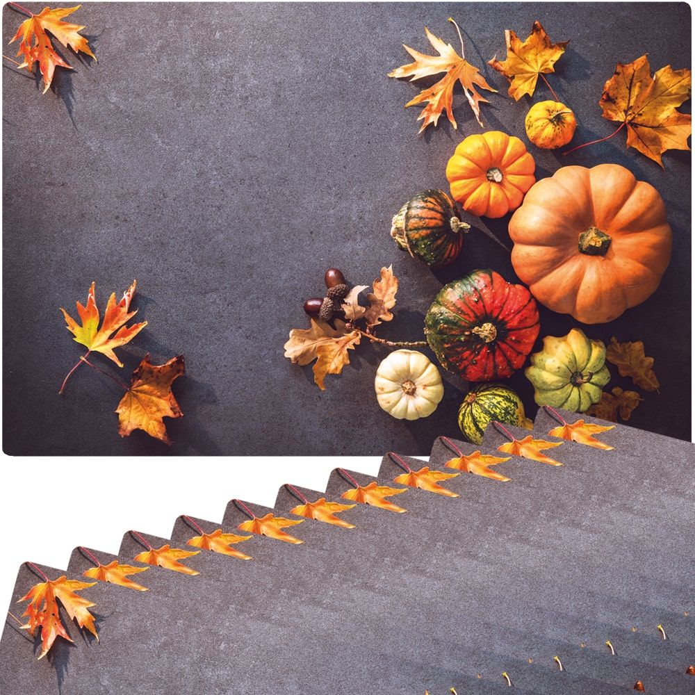 matches21 - Webshop Tischset Platzsets MOTIV abwaschbar Kuerbisse Herbstlaub Herbst Beton bunt 126259 5 1 20