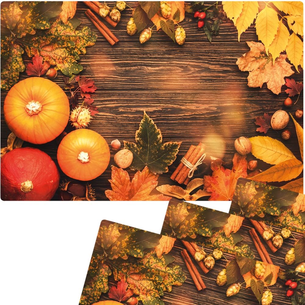 matches21 - Webshop Tischset Platzsets MOTIV abwaschbar Kuerbisse Herbstlaub Zimtstangen Holz bunt 126262 2 1 3