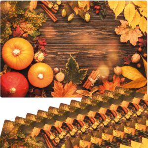 matches21 - Webshop Tischset Platzsets MOTIV abwaschbar Kuerbisse Herbstlaub Zimtstangen Holz bunt 126262 5 1 13