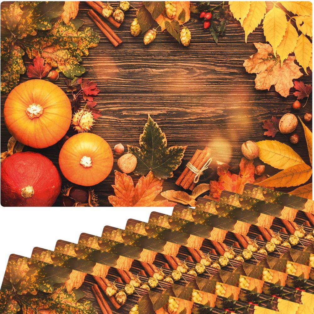 matches21 - Webshop Tischset Platzsets MOTIV abwaschbar Kuerbisse Herbstlaub Zimtstangen Holz bunt 126262 5 1 6
