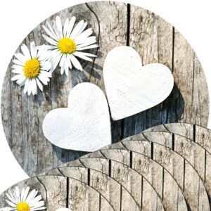 Tischsets Platzsets MOTIV Gänseblümchen Holz 8 Stk. abwaschbar rund Ø 38 cm