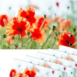 matches21 - Webshop Tischsets Platzsets MOTIV Mohnblumen Mohn Wiese 6 Stk abwaschbar 112140 1 10