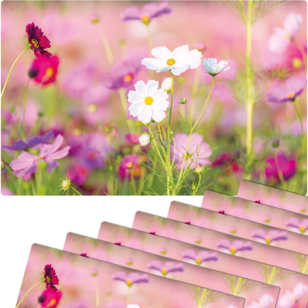 matches21 - Webshop Tischsets Platzsets MOTIV abwaschbar Fruehling Blumen pink weiss Blumenwiese 126278 6 1 17