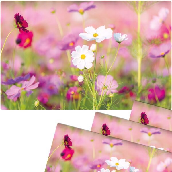 matches21 - Webshop Tischsets Platzsets MOTIV abwaschbar Fruehling Blumen pink weiss Blumenwiese 126278 7 1 15