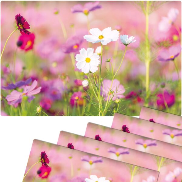 matches21 - Webshop Tischsets Platzsets MOTIV abwaschbar Fruehling Blumen pink weiss Blumenwiese 126278 8 1 16